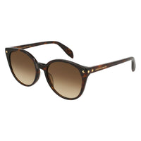 AM0130S Havana acetate Sunglasses - Shiny Classic Havana