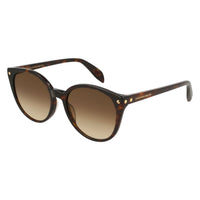 AM0130S Havana acetate Sunglasses - Shiny Havana