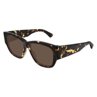 BV1026S Havana acetate Sunglasses - Shiny Havana
