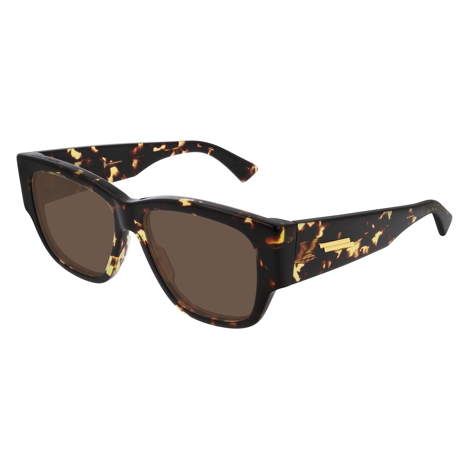BV1026S Havana acetate Sunglasses - Shiny Havana