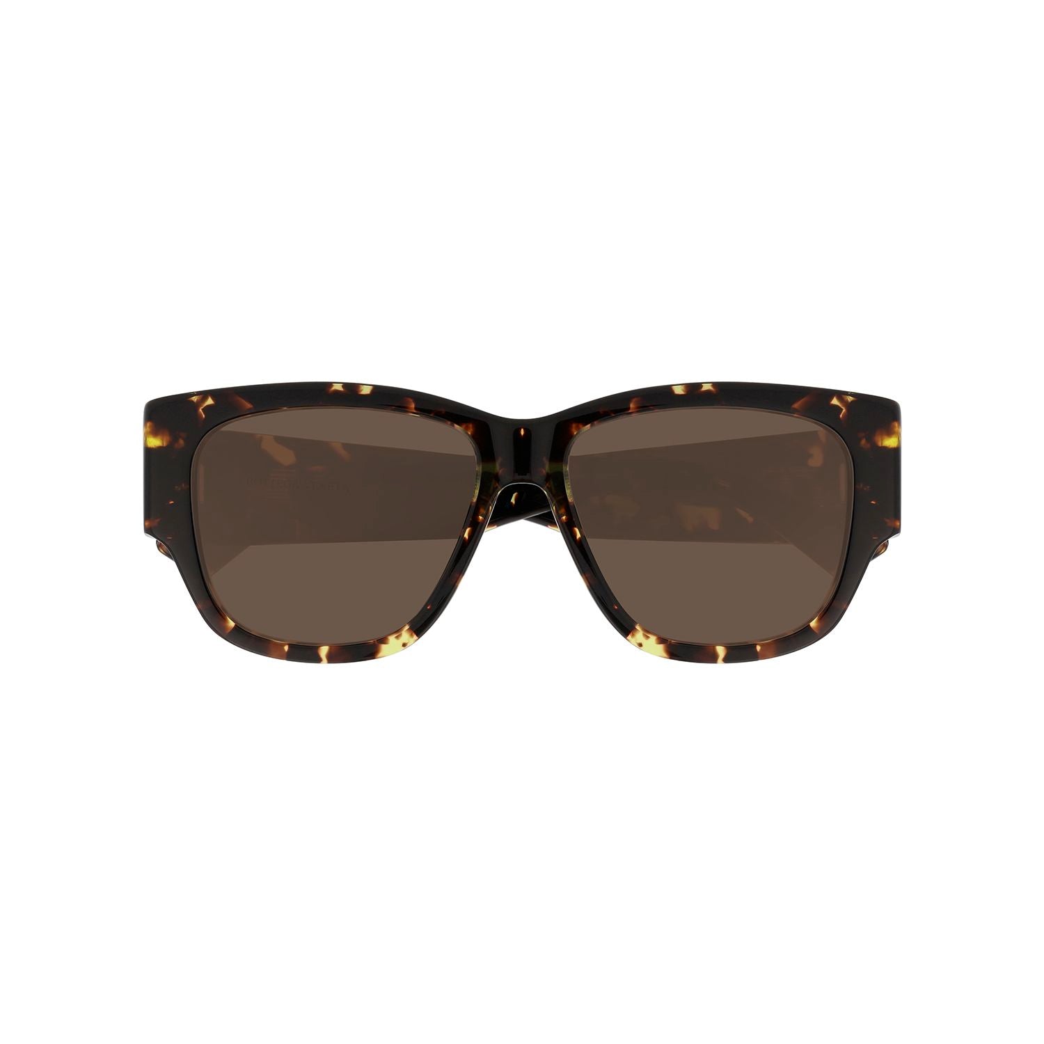 BV1026S Havana acetate Sunglasses - Shiny Havana