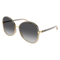 CH0030S Grey injection Sunglasses - Shiny Gradient Transparent Grey