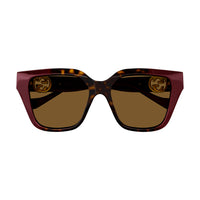 GG1023S Havana injection Sunglasses - Shiny Gradient Havana
