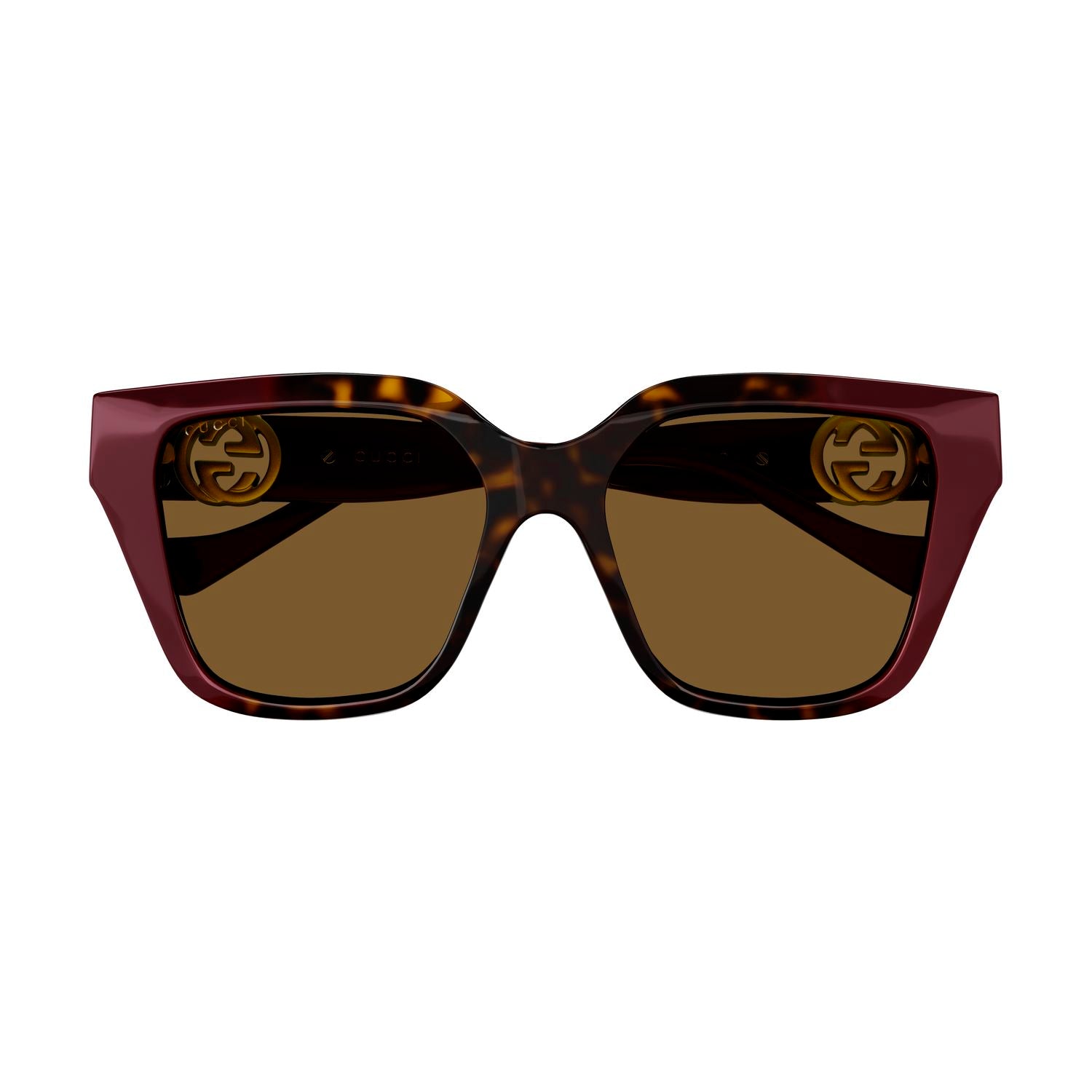 GG1023S Havana injection Sunglasses - Shiny Gradient Havana