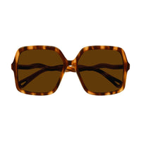 CH0086S Havana bio acetate Sunglasses - Shiny Havana