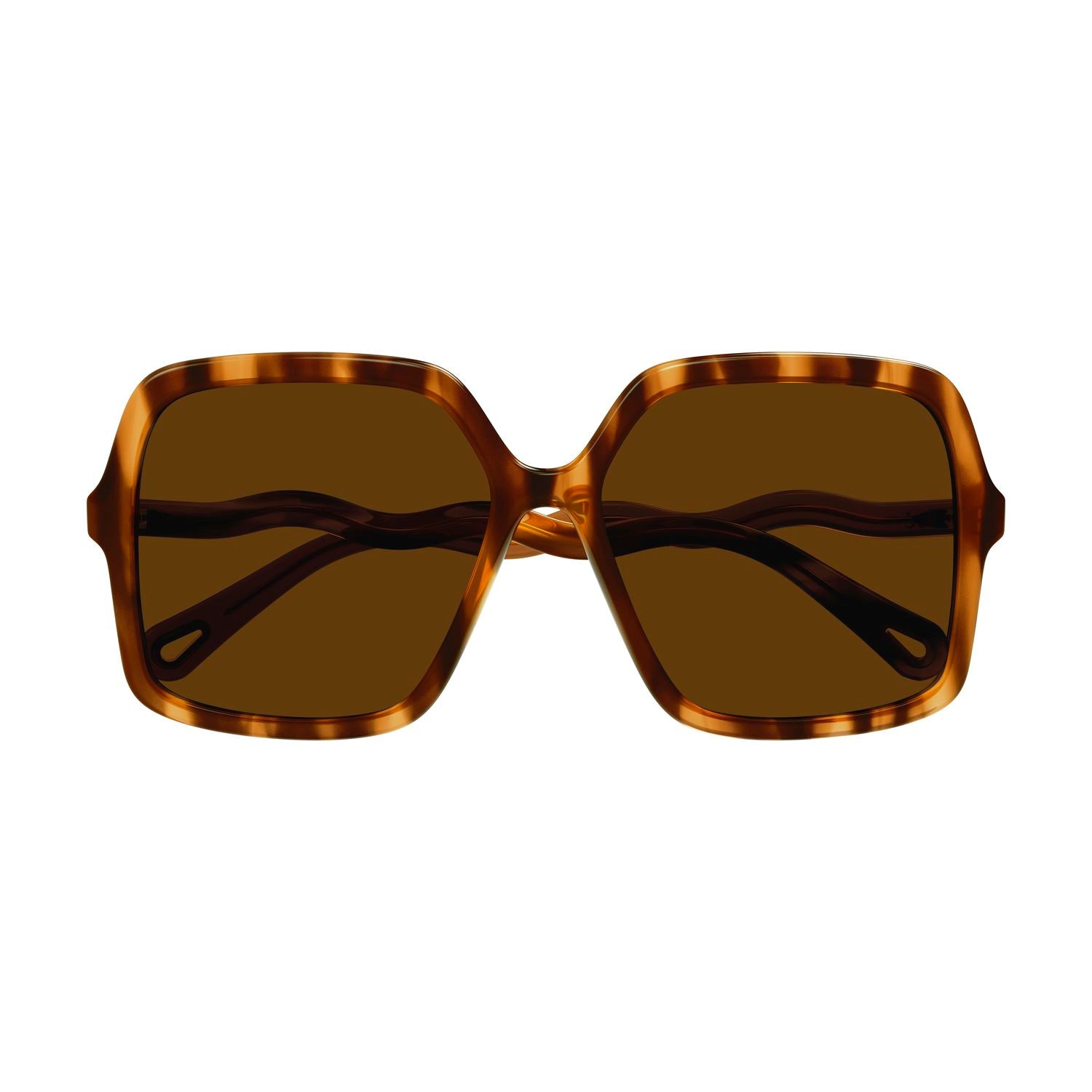 CH0086S Havana bio acetate Sunglasses - Shiny Havana