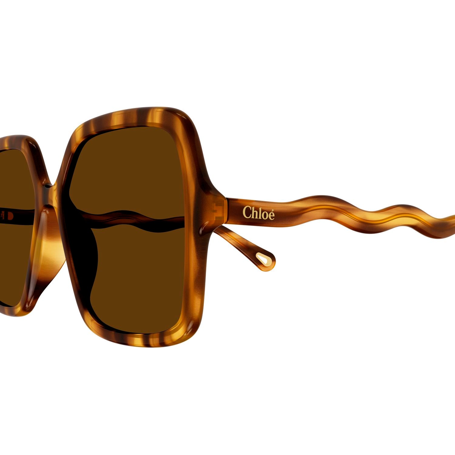 CH0086S Havana bio acetate Sunglasses - Shiny Havana