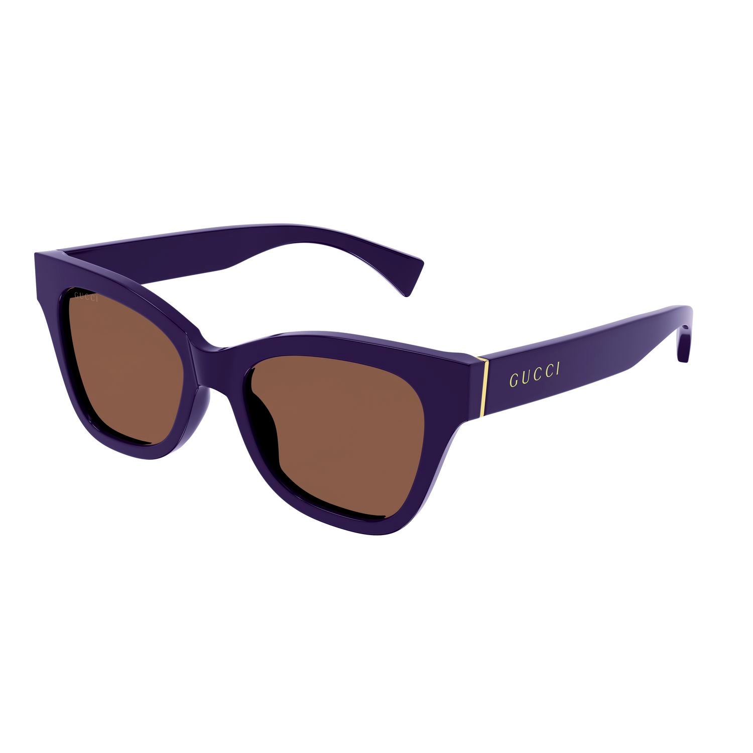 GG1133S Violet injection Sunglasses - Violet
