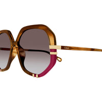CH0105S Havana recycled acetate Sunglasses - Shiny Havana