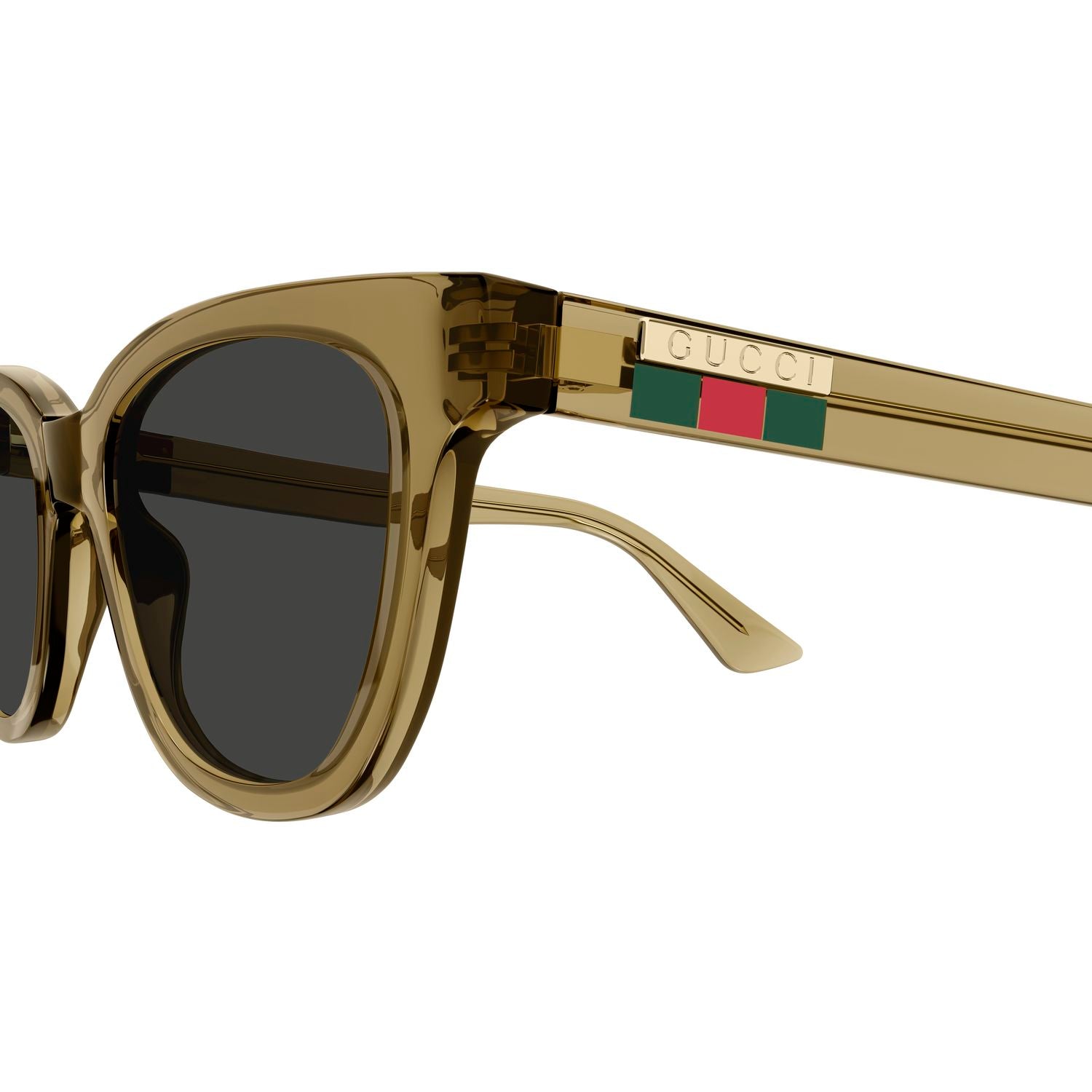 GG1116S Brown injection Sunglasses - Shiny Transparent Brown