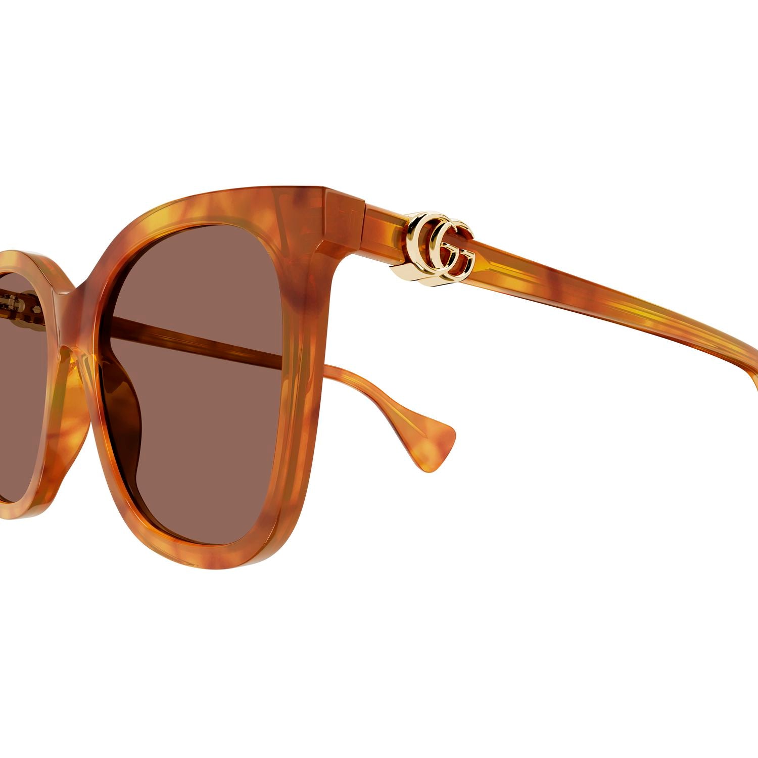 GG1071S Havana acetate Sunglasses - Shiny Havana