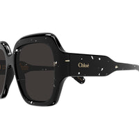 CH0154S Black recycled acetate Sunglasses - Black