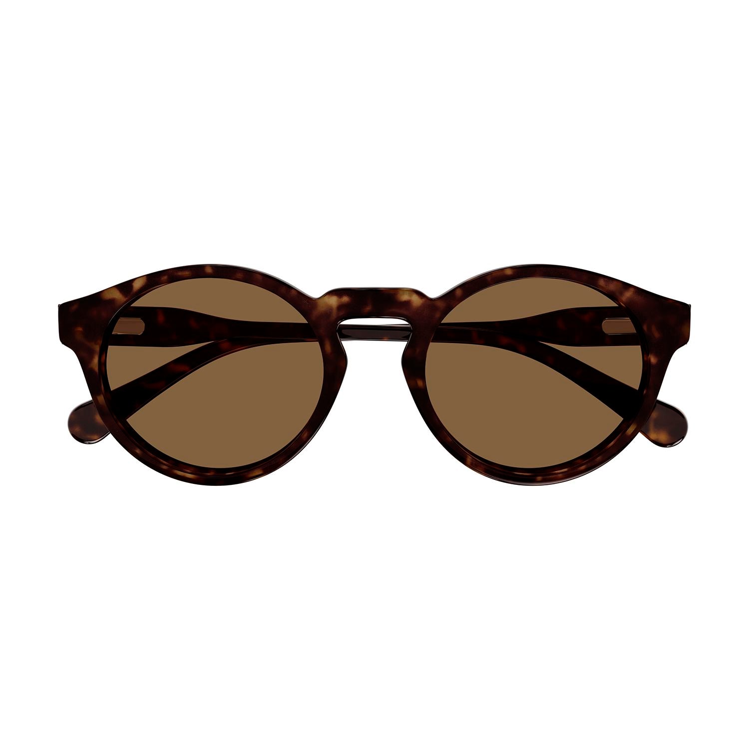 CC0014S Havana recycled acetate Sunglasses - Shiny Dark Havana