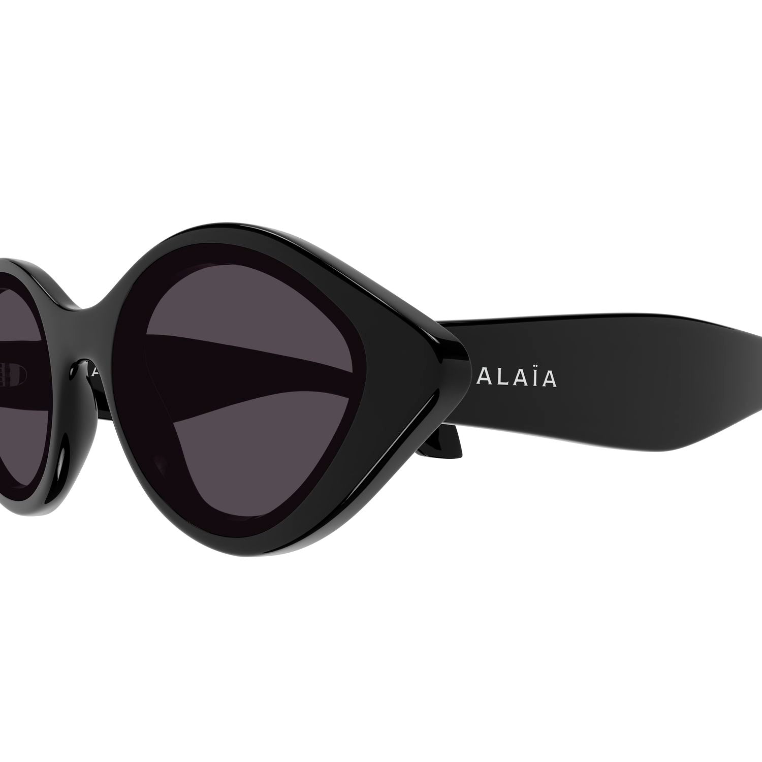 AA0069S Black recycled acetate Sunglasses - Shiny Black