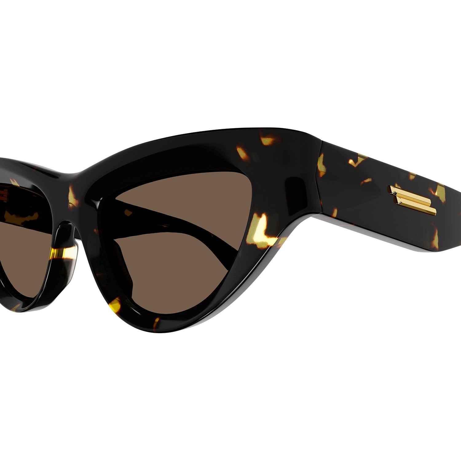 BV1220S Havana recycled acetate Sunglasses - Shiny Havana