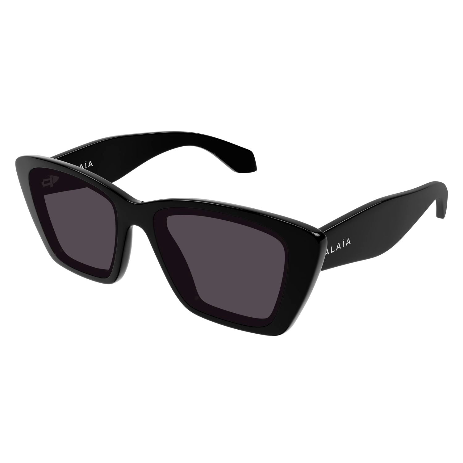 AA0070S Black recycled acetate Sunglasses - Shiny Black