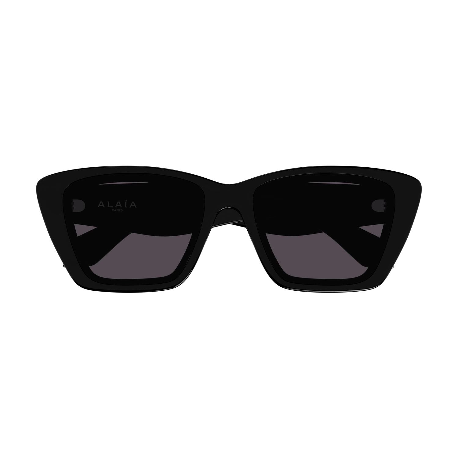 AA0070S Black recycled acetate Sunglasses - Shiny Black