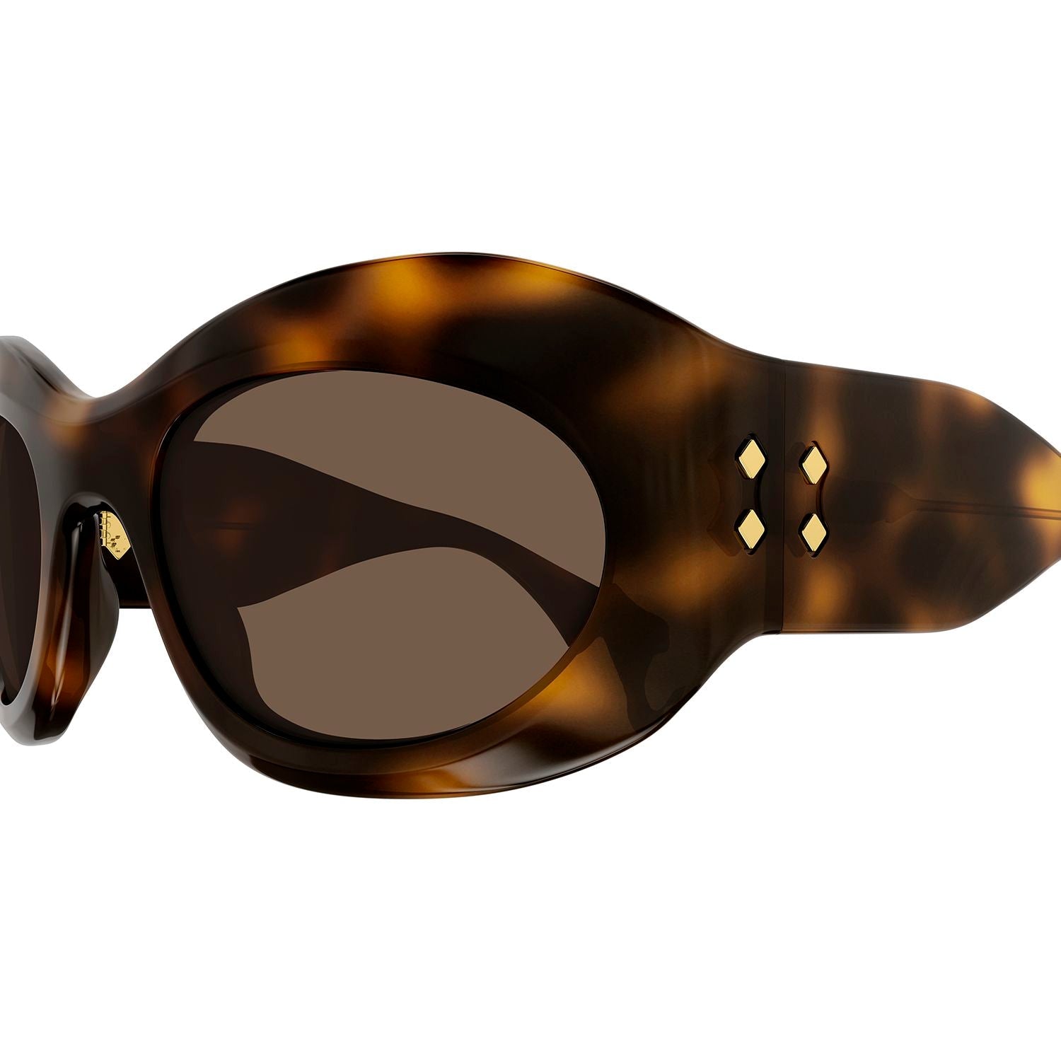 GG1463S Havana recycled acetate Sunglasses - Shiny Havana