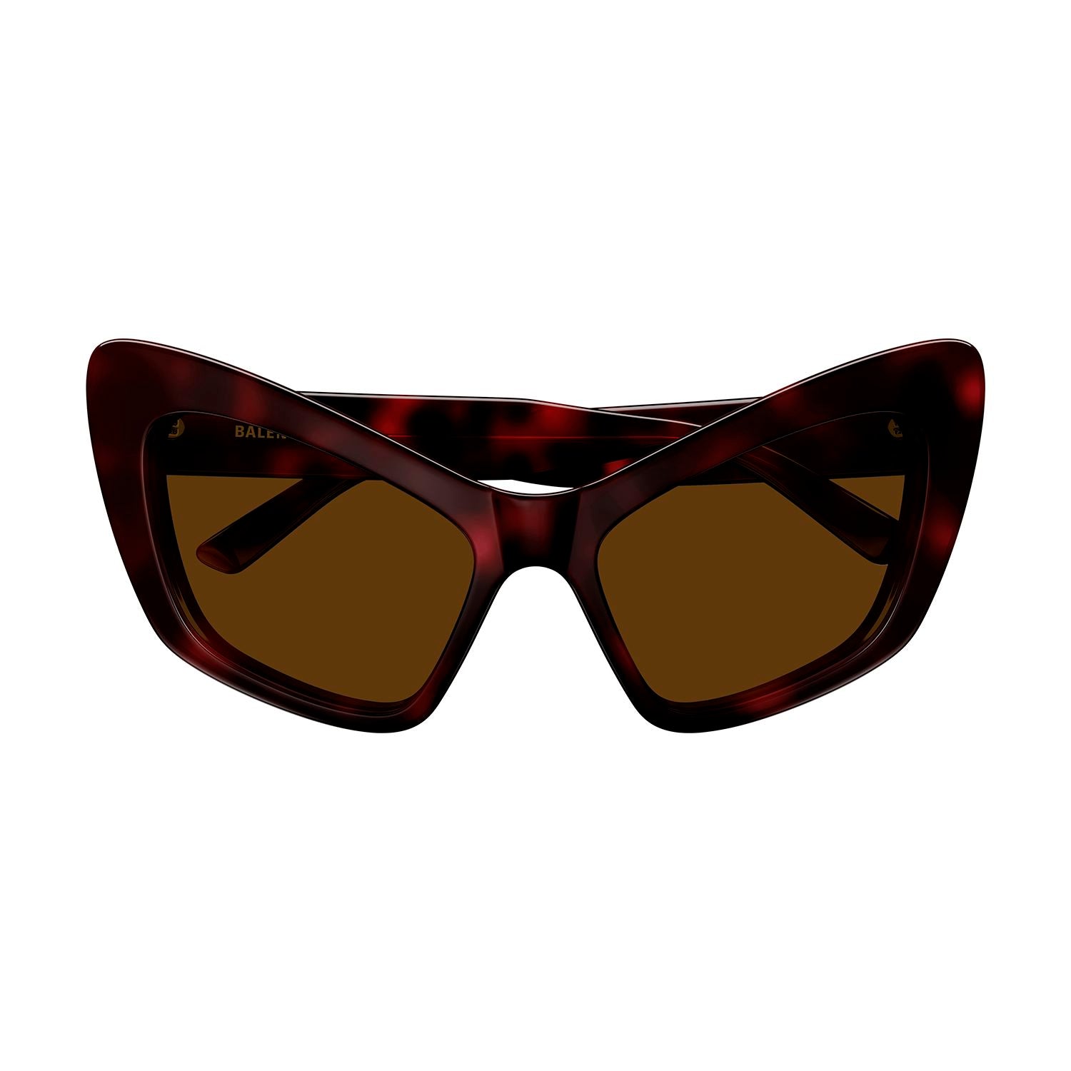 BB0293S Havana recycled acetate Sunglasses - Shiny Dark Havana