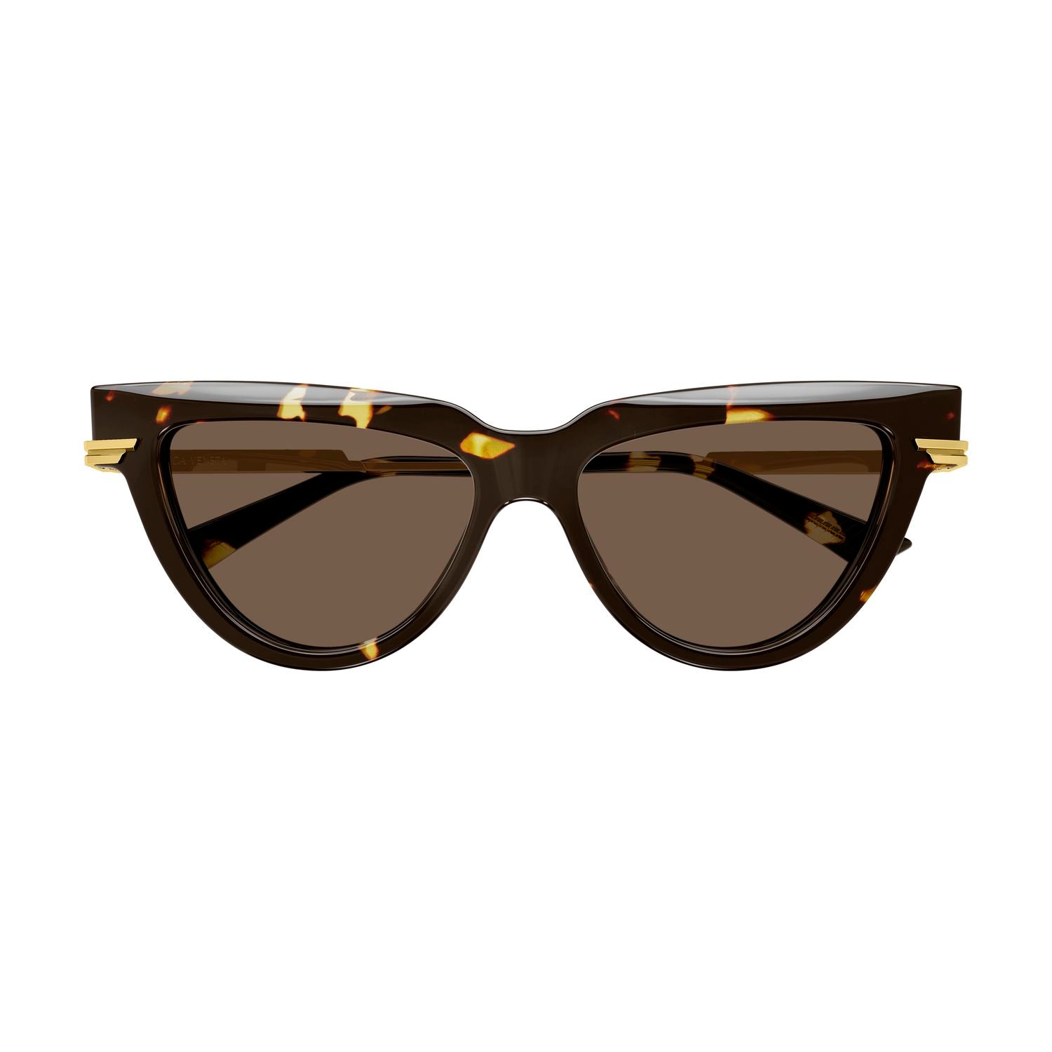 BV1265S Havana recycled acetate Sunglasses - Shiny Havana