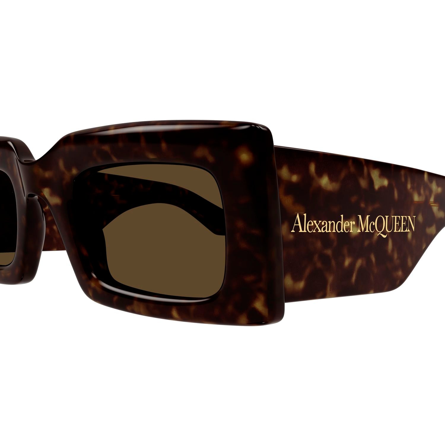 AM0433S Havana recycled acetate Sunglasses - Shiny Havana
