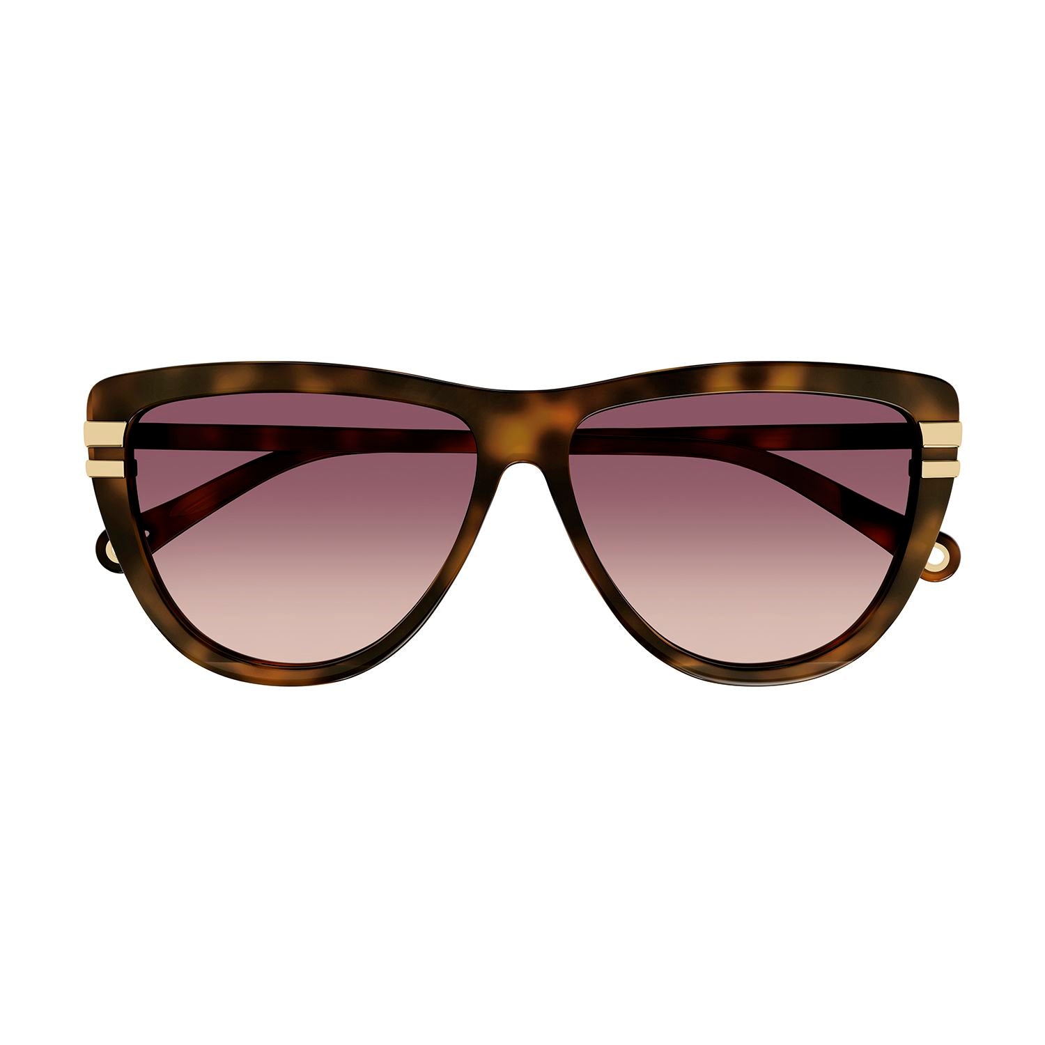 CH0203S Havana recycled acetate Sunglasses - Shiny Medium Havana