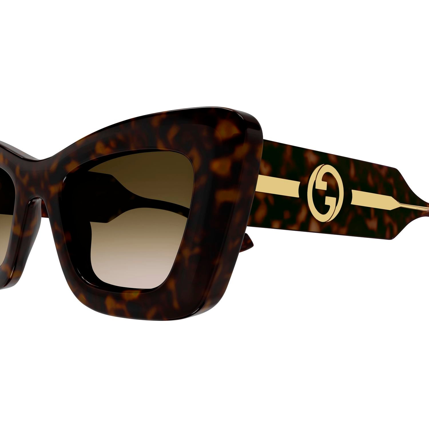 GG1552S Havana injection Sunglasses - Shiny Havana