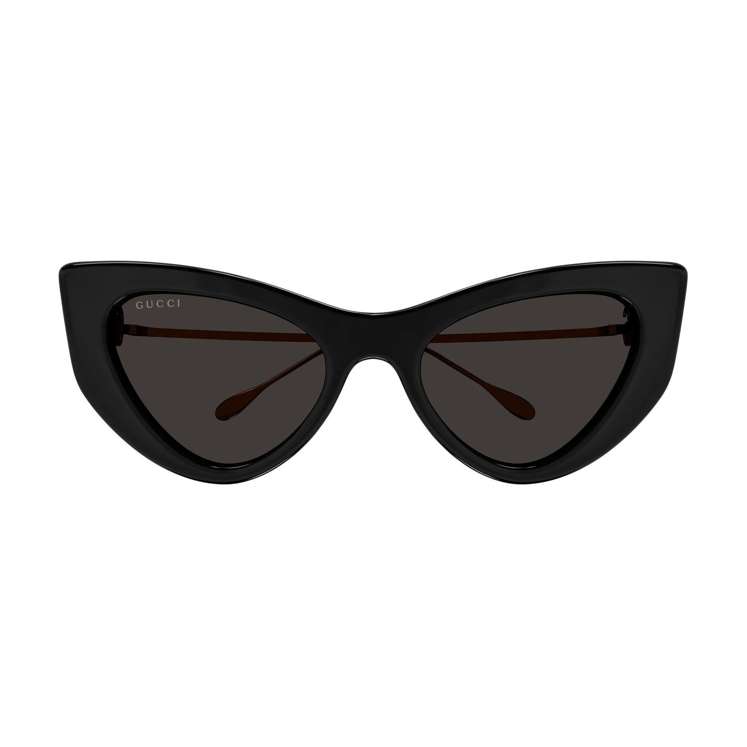 GG1565S Black injection Sunglasses - Shiny Black