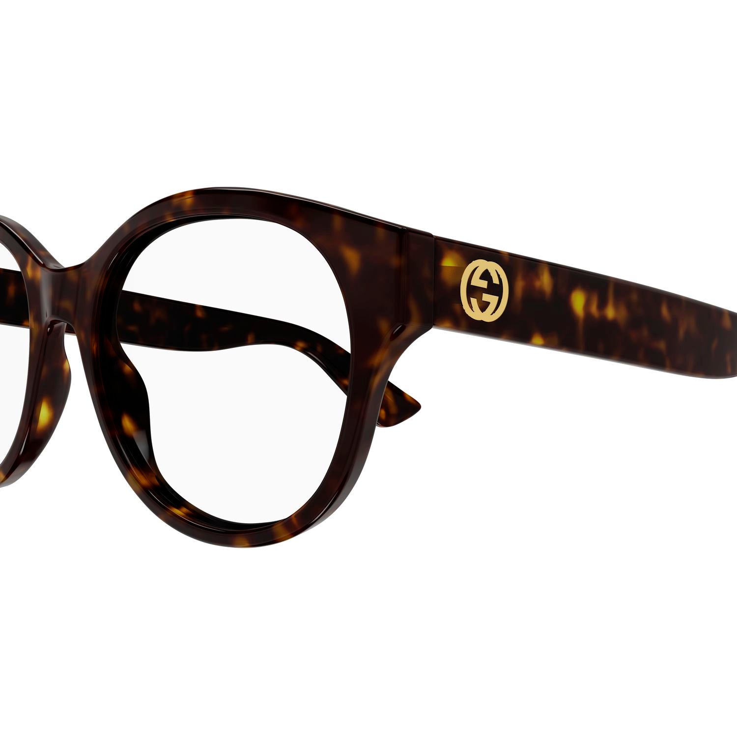 GG1580O Havana injection Optical Frames - Shiny Havana