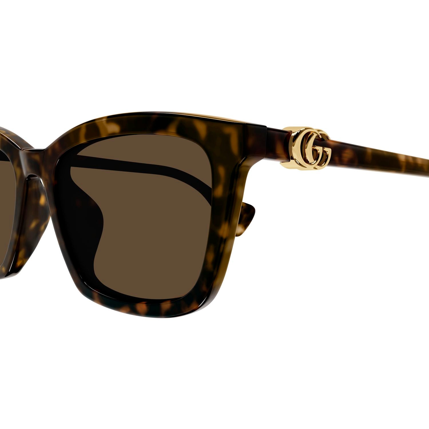 GG1596SK Havana recycled acetate Sunglasses - Shiny Havana