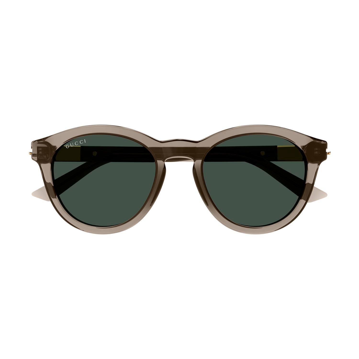 GG1501S Brown recycled acetate Sunglasses - Shiny Transparent Brown