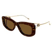 GG1566S Havana injection Sunglasses - Shiny Havana