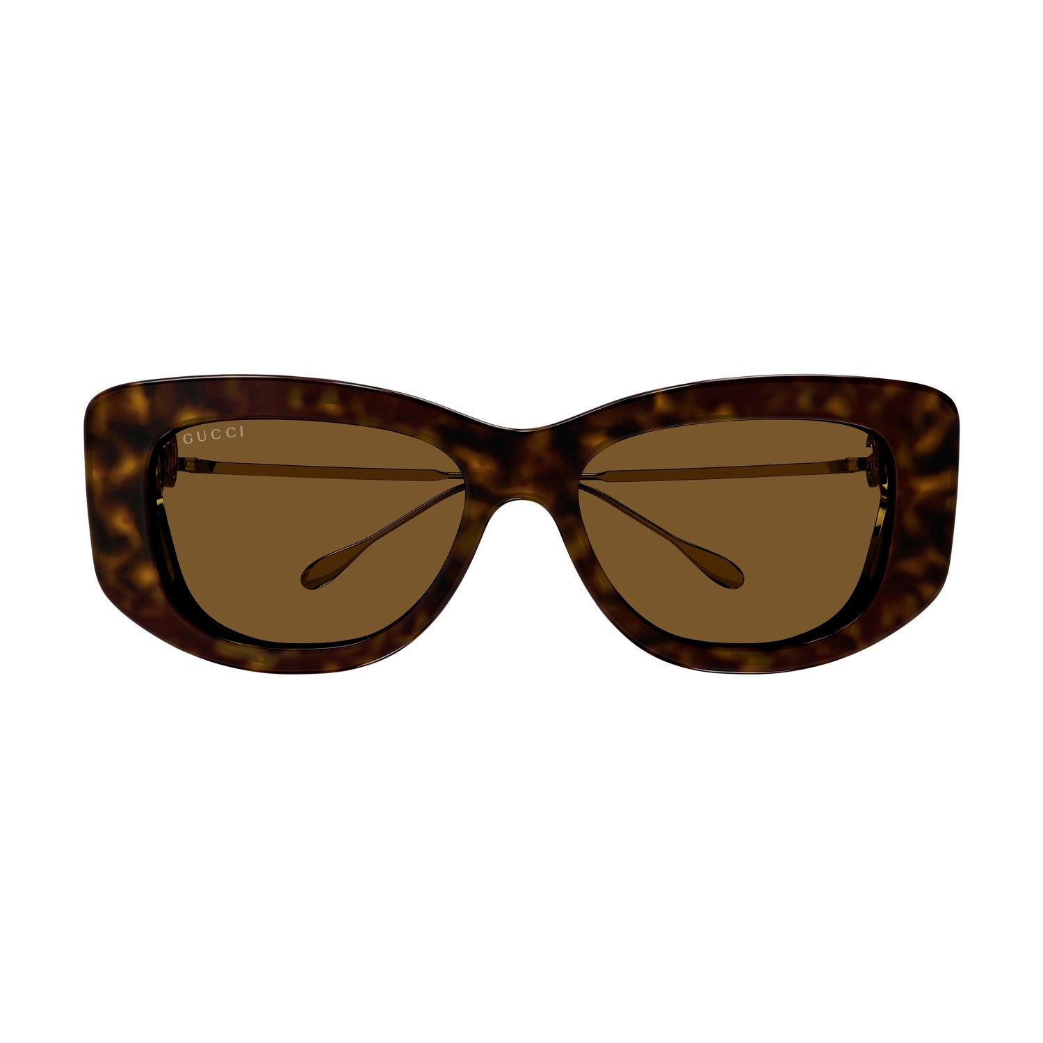 GG1566S Havana injection Sunglasses - Shiny Havana