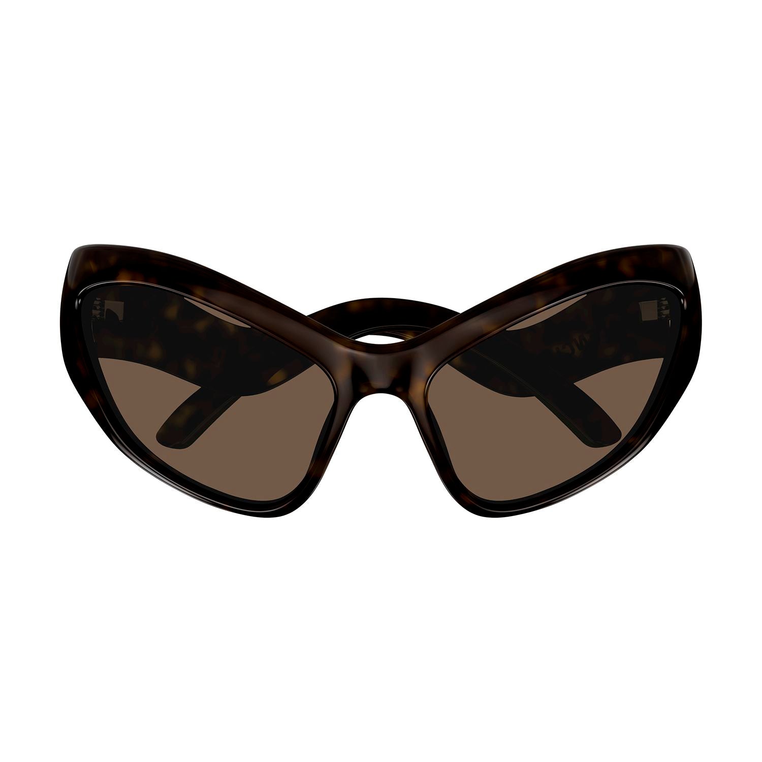 BB0319S Havana bio injection Sunglasses - Shiny Dark Havana