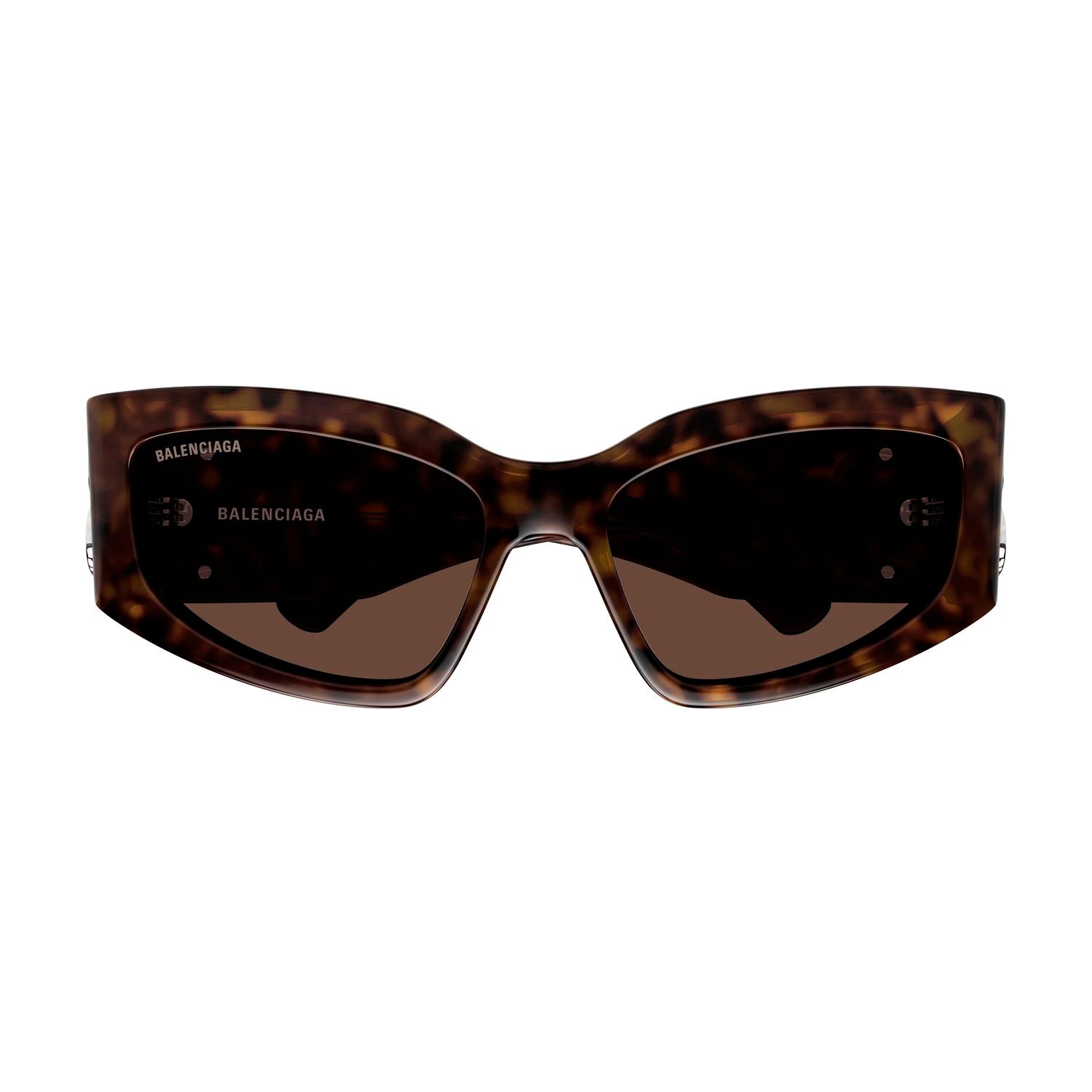 BB0321S Havana recycled acetate Sunglasses - Shiny Havana