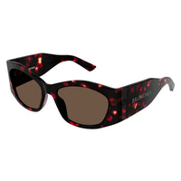 BB0329S Havana recycled acetate Sunglasses - Shiny Havana