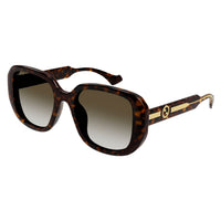 GG1557SK Havana injection Sunglasses - Shiny Havana