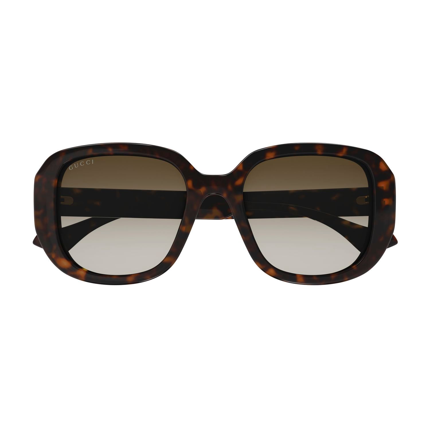 GG1557SK Havana injection Sunglasses - Shiny Havana