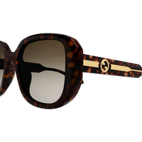 GG1557SK Havana injection Sunglasses - Shiny Havana