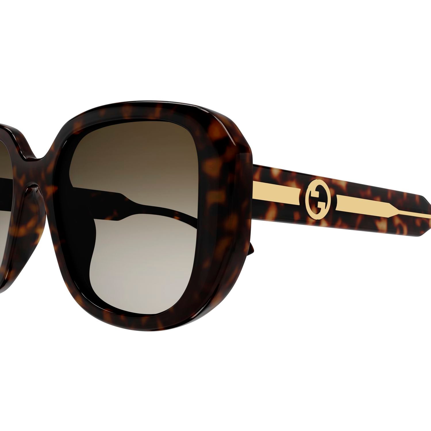 GG1557SK Havana injection Sunglasses - Shiny Havana
