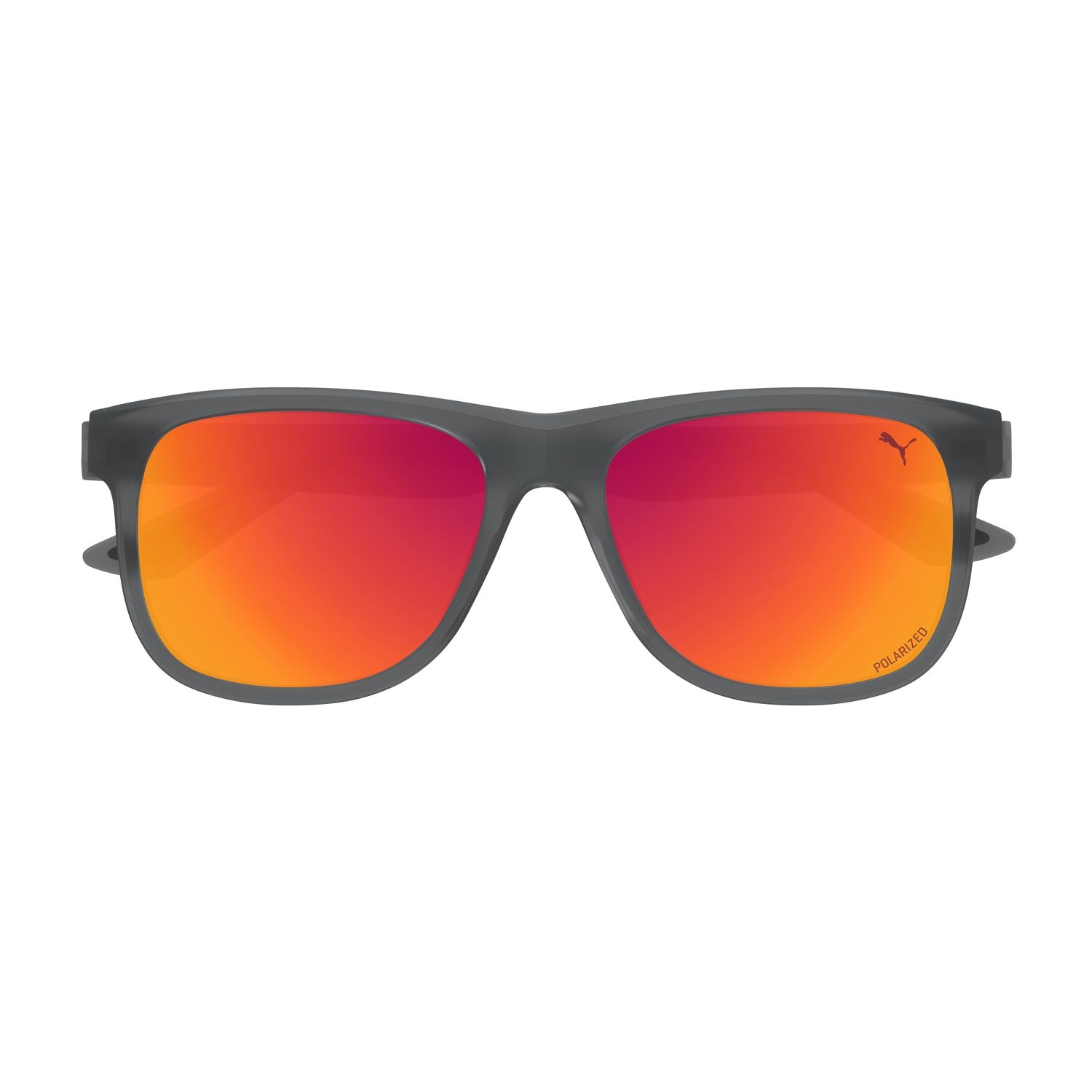 PU0442S Grey injection Sunglasses - Matte Transparent Grey