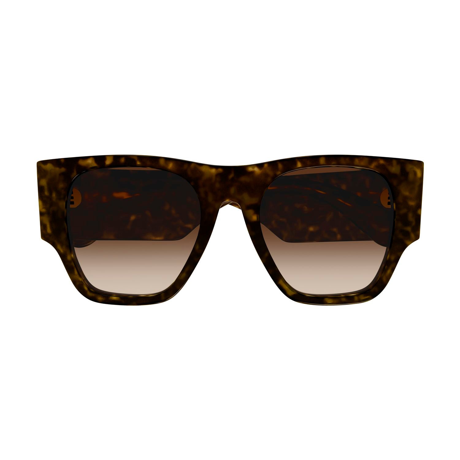 CH0233S Havana recycled acetate Sunglasses - Shiny Havana