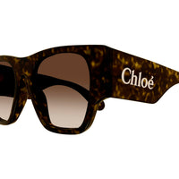 CH0233S Havana recycled acetate Sunglasses - Shiny Havana