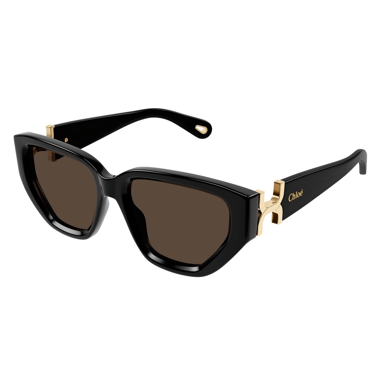 CH0235S Black recycled acetate Sunglasses - Shiny Black