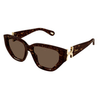 CH0235S Havana recycled acetate Sunglasses - Shiny Havana