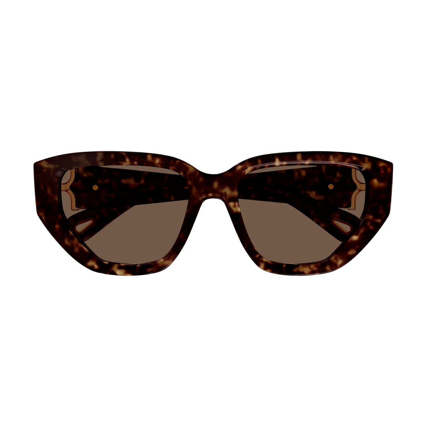 CH0235S Havana recycled acetate Sunglasses - Shiny Havana
