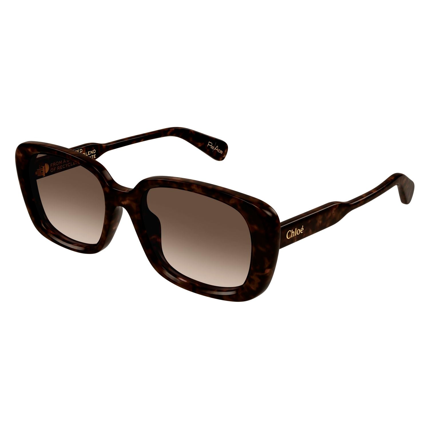 CH0225SK Havana recycled acetate Sunglasses - Shiny Havana
