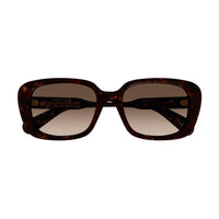 CH0225SK Havana recycled acetate Sunglasses - Shiny Havana