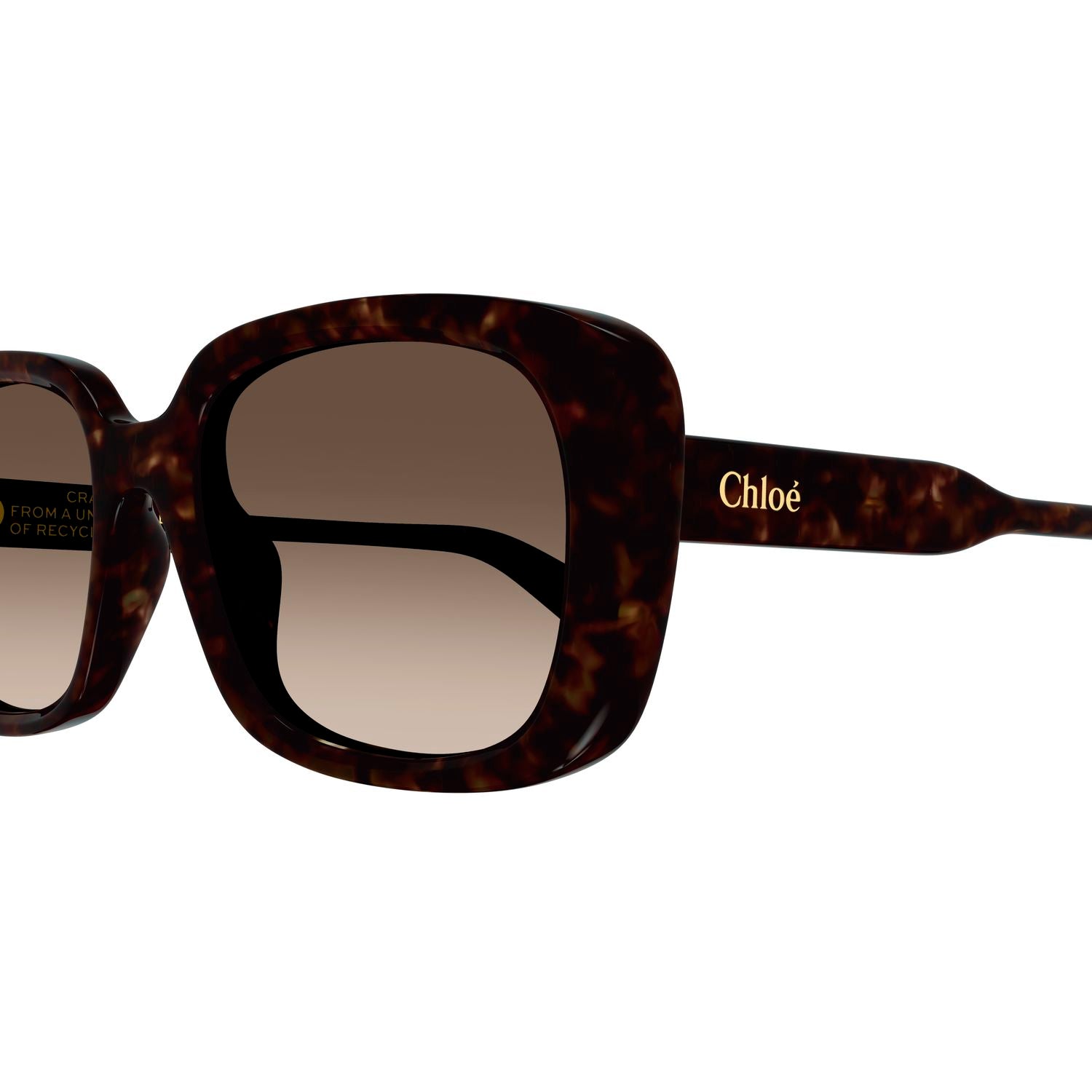 CH0225SK Havana recycled acetate Sunglasses - Shiny Havana
