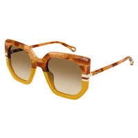 CH0240S Brown recycled acetate Sunglasses - Shiny Brown